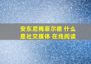 安东尼梅菲尔德 什么是社交媒体 在线阅读